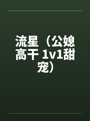 流星(公媳高干 1v1甜宠)